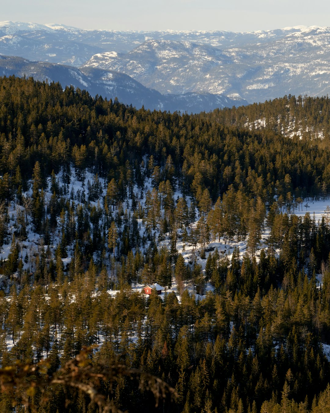 Deluxe Ski Suite