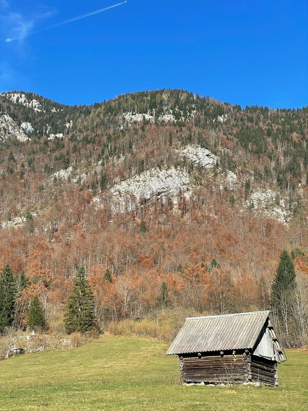 Family Cabin Retreat